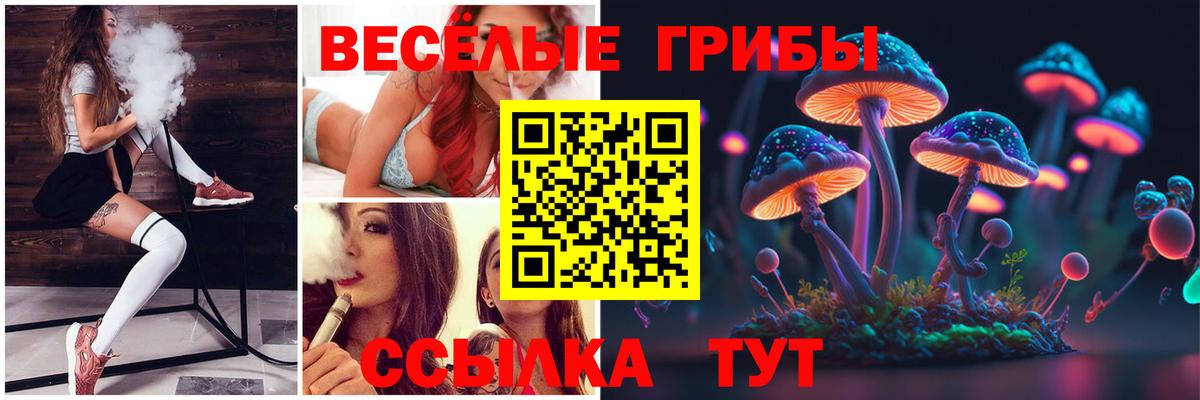 Псилоцибиновые грибы Psilocybine cubensis Аргун